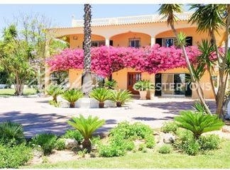 Vilamoura, Loulé, Faro