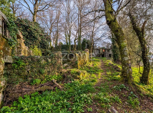 Fafe, Braga
