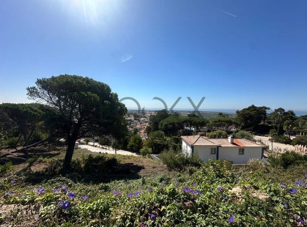Alcabideche, Lisbon 2755