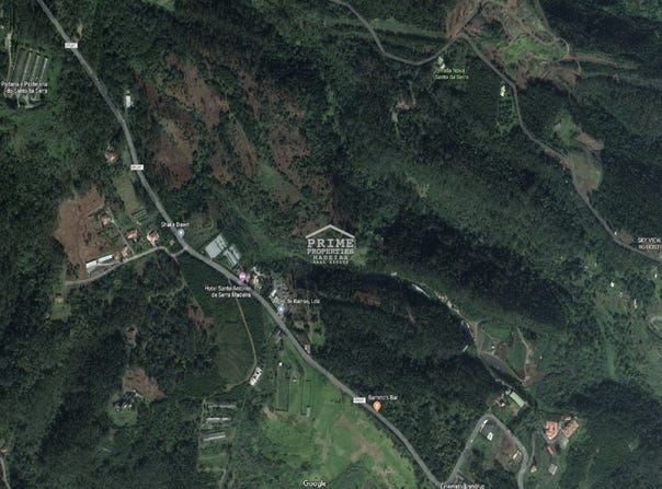 Ilha da Madeira, Madeira
