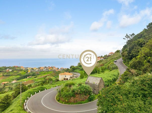 Ilha da Madeira, Madeira