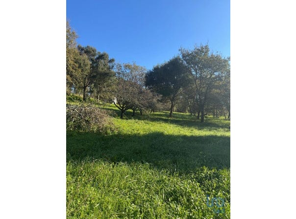 Leiria, Leiria District