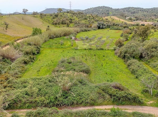São Bartolomeu de Messines, Algarve