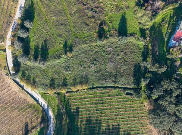 Canedo de Basto e Corgo, Braga