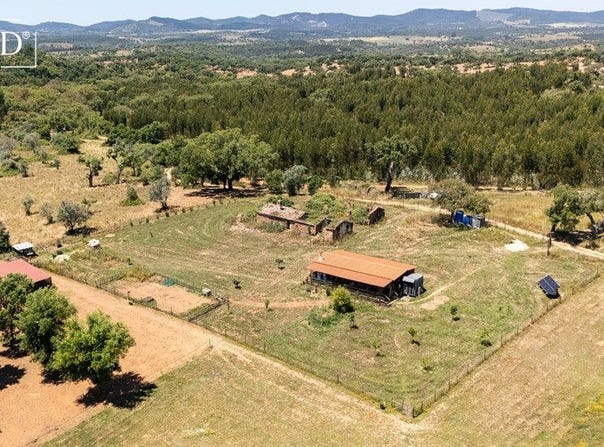 Relíquias, Beja 7630