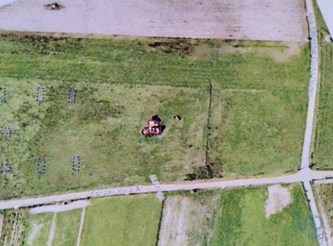 Alpiarça, Santarém 2090-209