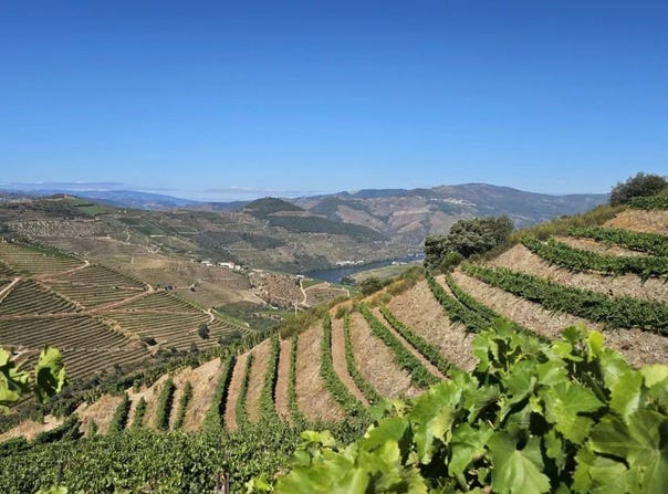 Ervedosa Do Douro, Viseu 5130