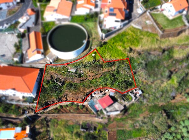 Ilha da Madeira, Madeira