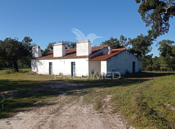 Mora, Mora, Évora District
