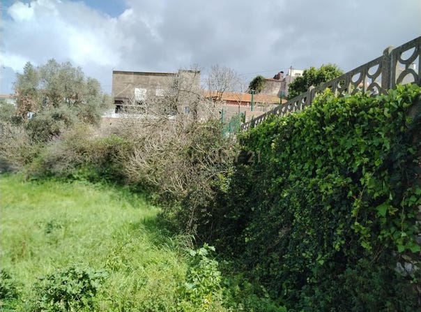 Maiorga, Leiria 2460