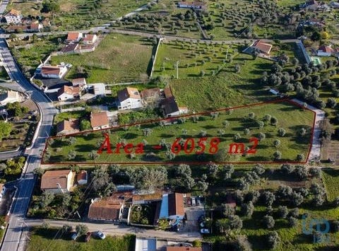 Tomar, Santarém 2300-334