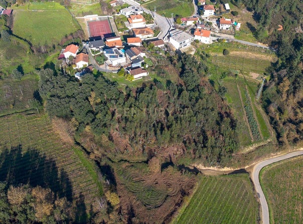 Canedo de Basto e Corgo, Braga
