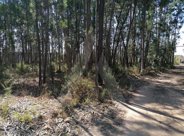 Águeda, Aveiro District