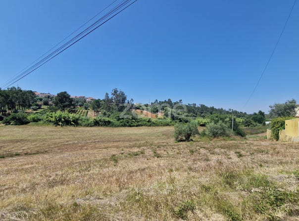 Soure, Coimbra District