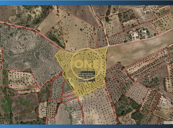 Olaia, Santarém District