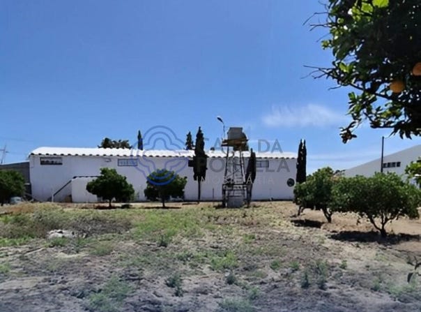 Palmela, Setúbal 2950