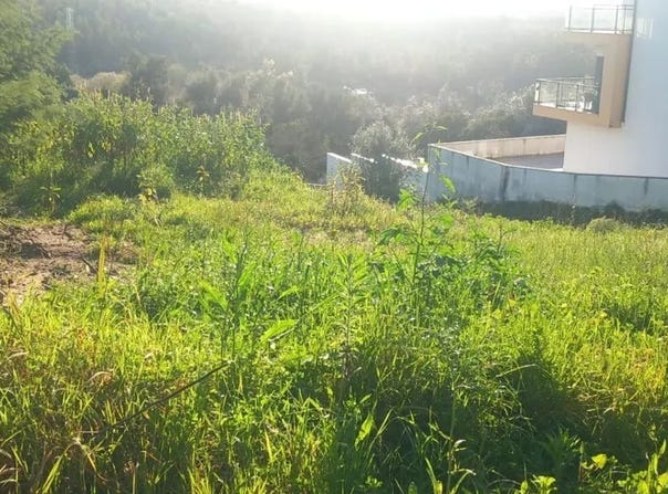 Coimbra, Coimbra District 3040-111