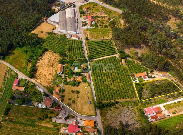 Águeda, Aveiro District