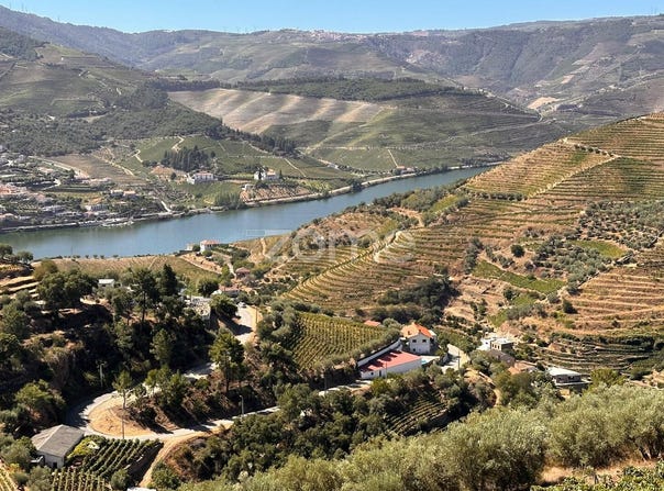 Peso da Régua, Vila Real District