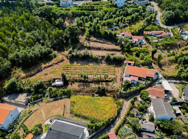 Sande São Lourenço e Balazar, Braga