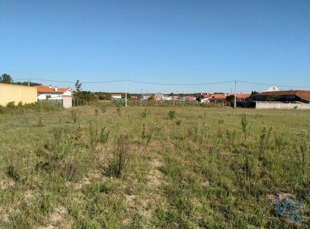 Leiria, Leiria District