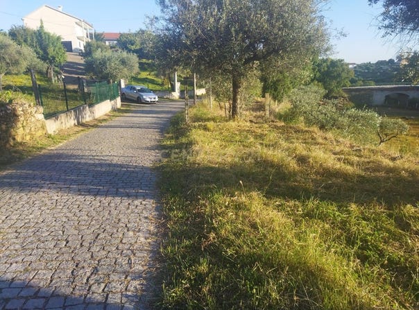São Vicente da Beira, Castelo Branco District