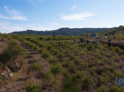 Miranda do Corvo, Coimbra 3220-017