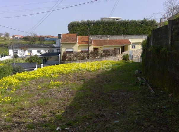 Matosinhos, Porto District