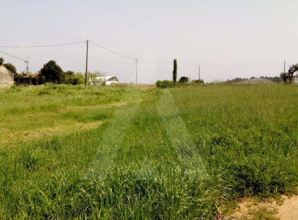 Palhaça, Aveiro District