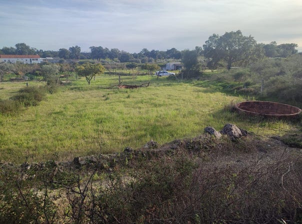 Tinalhas, Castelo Branco District