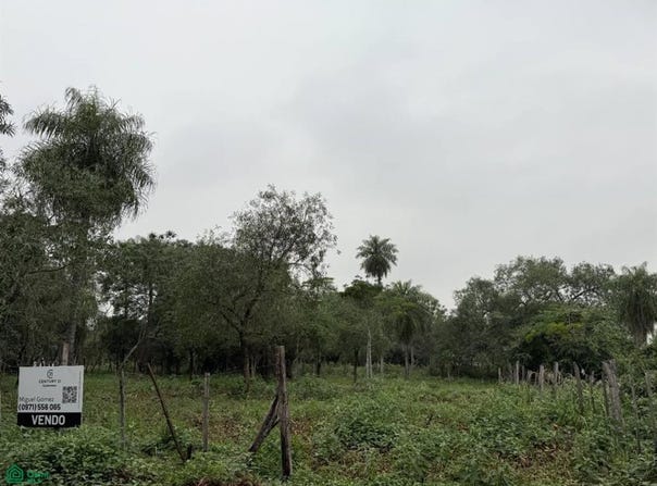 Ykua karanday , Luque, Central, Luque, Central