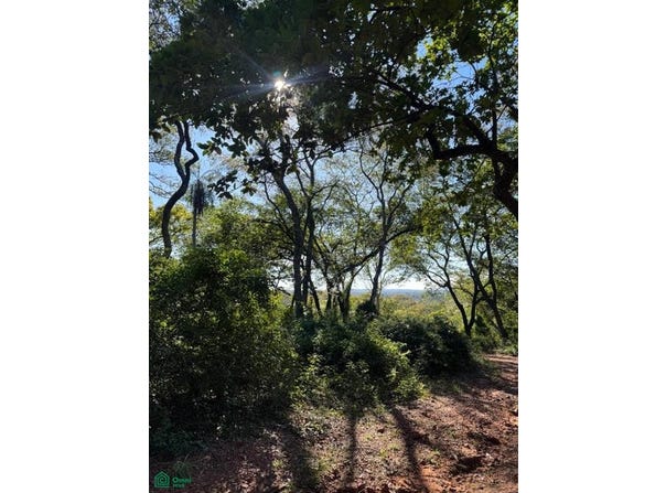 BOSQUES DE HERMANN, Areguá , Areguá, Central, Areguá, Central