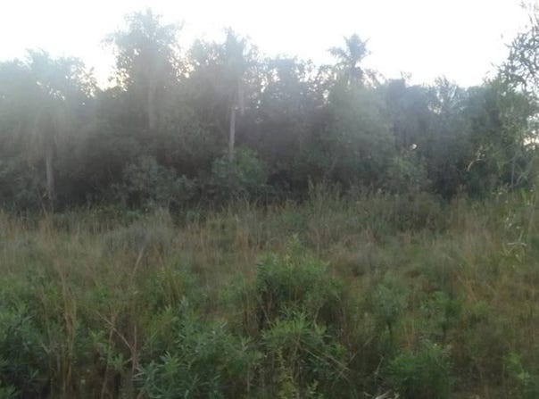 maria de jesus , Pirayu, Paraguarí, Paraguarí