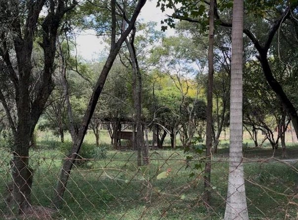 Espinillo, surubi'i s/n, Las Mercedes, Asunción,, 