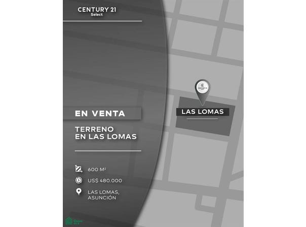 Prof. Manuel Riquelme entre Herib Campos Cervera y Papa Juan XIII 1.945, Las Lomas, Asunción,, 