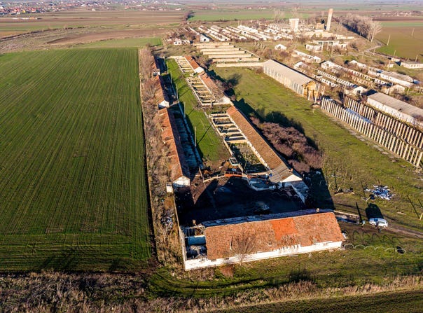 Nadlac, Arad County 315500