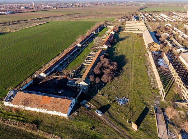 Nadlac, Arad County 315500