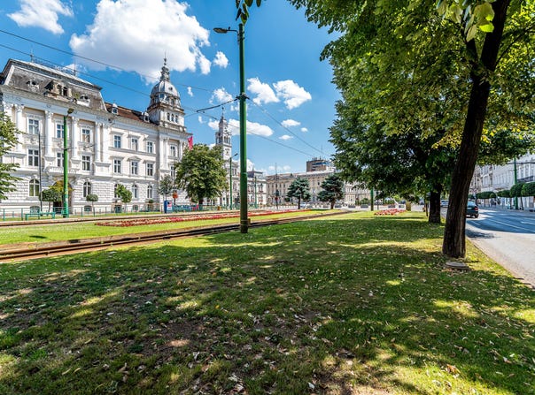 Arad, Arad County