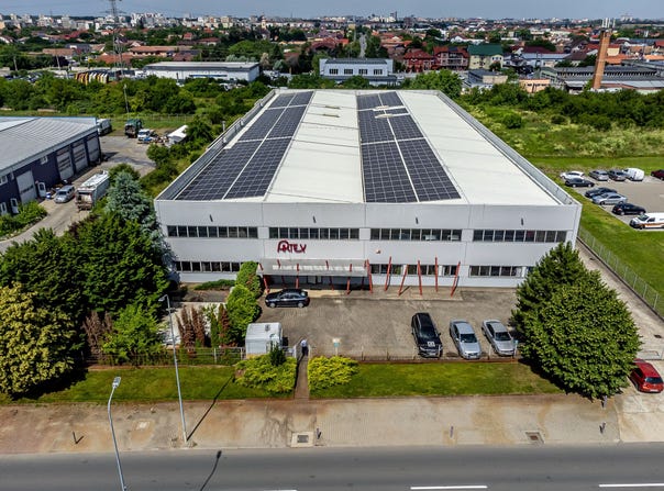 Arad, Arad County