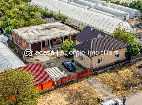 Seleus, Arad County