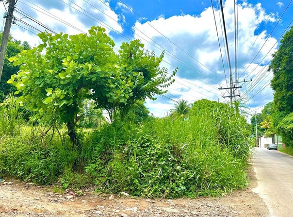Colonia San Rafael, calle a la Geo, lote 2, Ahuachapan, Ahuachapán, Ahuachapan, Ahuachapán