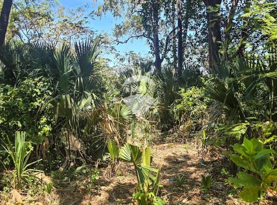 Finca El Cocal, 12 Av. Norte y Avenida Principal, La union, La Unión, La union, La Unión