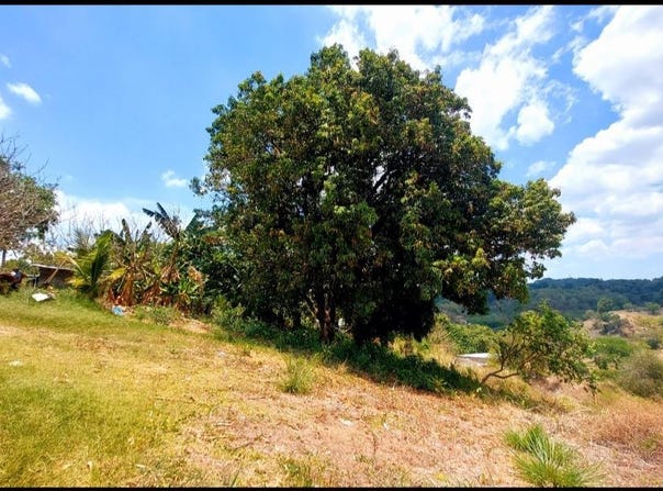 El Pino , Ciudad Delgado, Delgado, San Salvador, Delgado, San Salvador