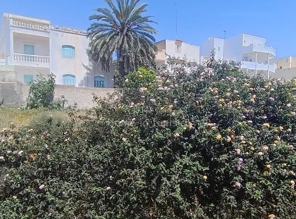 Sousse, Sousse 4000