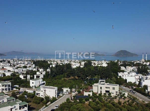 Bodrum, Mula