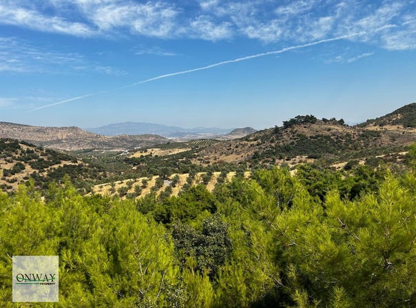 Demirtaş, Demirtaş, Bursa (province) 16245