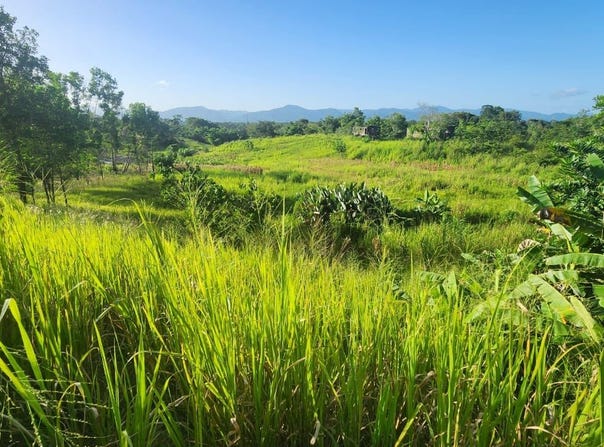 Las Lomas, Las Lomas, Caroni, Las Lomas, Caroni