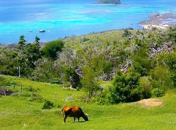 Clifton, Grenadines
