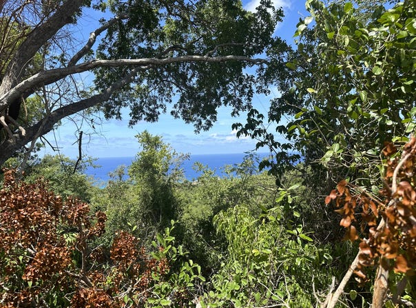 7-B Mt Washington WE, 7-B, St. Croix 00840, Mount Washington and Washington Hill Estate, St. Croix, Mount Washington and Washington Hill Estate, St. Croix
