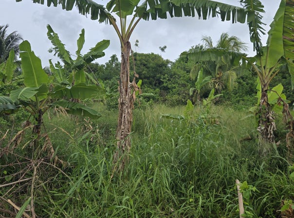 4-MA Upper Love PR, 4-MA, St. Croix 00850, Saint Croix, District of, St. Croix, Saint Croix, District of, St. Croix